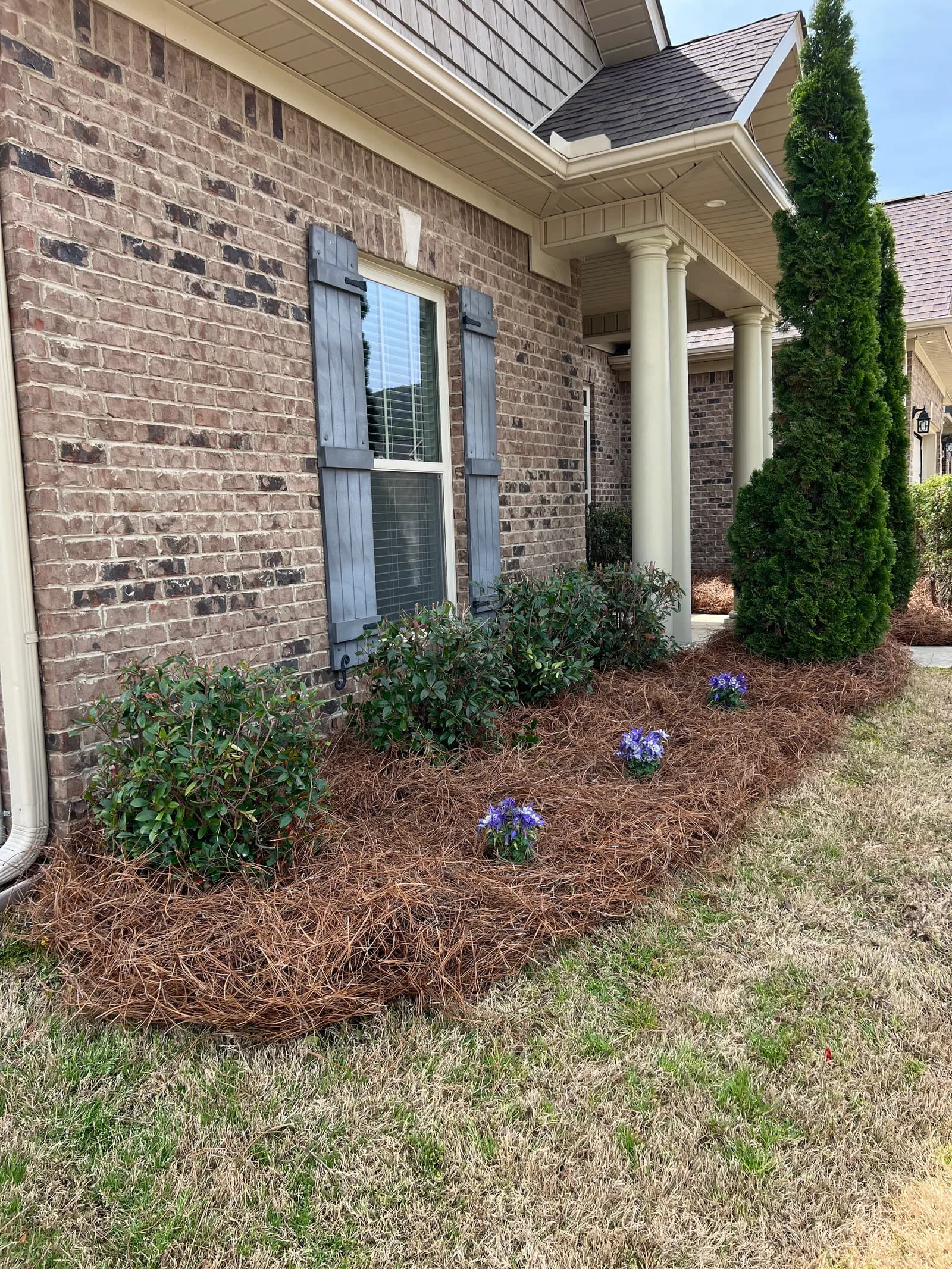 Designed garden bed with purple flowers and fresh pine straw at a Huntsville home